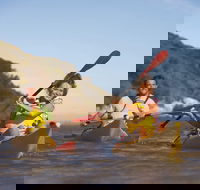 Kangaroo Island Self-Guided Kayaking on the Harriet River - Accommodation Mount Tamborine