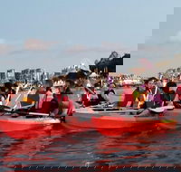 Brisbane River Guided Evening Tour by Kayak - Our Most Popular Tour - Accommodation Mount Tamborine