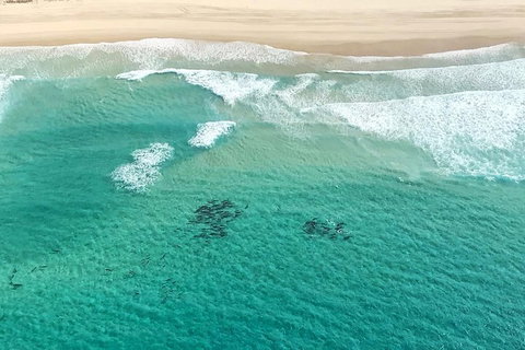 Coastal Helicopter Shared Flight - 20 Minutes - Accommodation Mount Tamborine 4