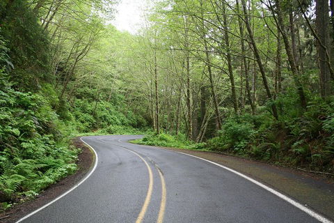 Great Ocean Road Highlights Tour - 2 Days, 1 Night - Accommodation Mount Tamborine 4