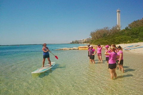 Golden Beach 1-Hour Stand-Up Paddleboard Hire On The Sunshine Coast - Accommodation Mount Tamborine 1