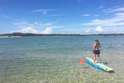 Golden Beach 1-Hour Stand-Up Paddleboard Hire On The Sunshine Coast - Accommodation Mount Tamborine 4