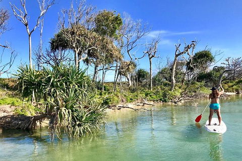 Golden Beach 1-Hour Stand-Up Paddleboard Hire On The Sunshine Coast - Accommodation Mount Tamborine 5