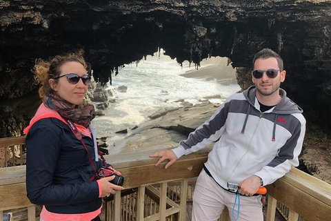 Kangaroo Island 4WD Tour - Best Of KI - Accommodation Mount Tamborine 0