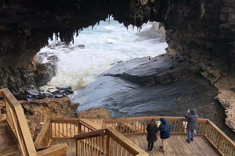 Kangaroo Island 4WD Tour - Best Of KI - Accommodation Mount Tamborine 1