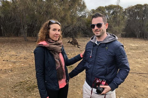 Kangaroo Island 4WD Tour - Best Of KI - Accommodation Mount Tamborine 3