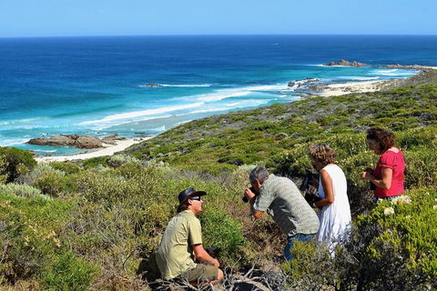 Margaret River Coastal And Wildlife Eco Trip From Busselton Or Dunsborough - Accommodation Mount Tamborine 2