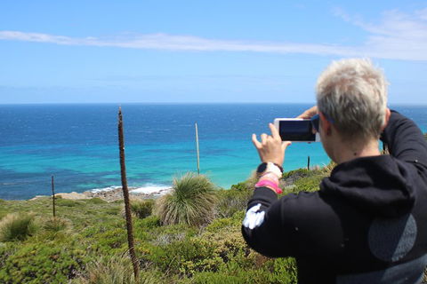 Margaret River Coastal And Wildlife Eco Trip From Busselton Or Dunsborough - Accommodation Mount Tamborine 3